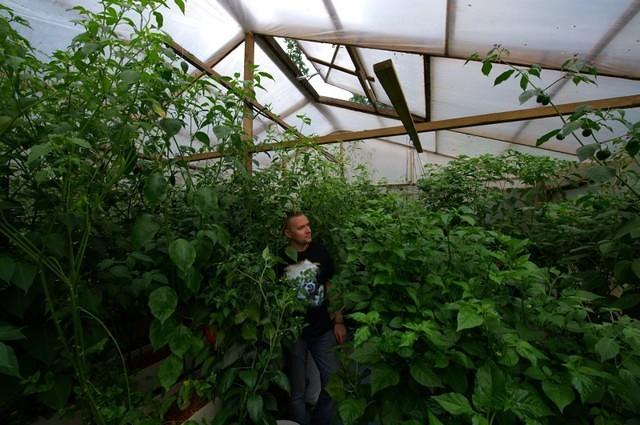 Greenhouse