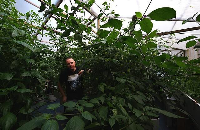 Greenhouse
