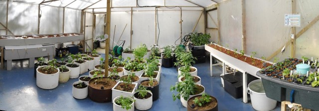Greenhouse