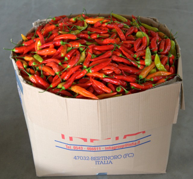 Aji Cristals