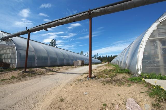 Huge greenhouses