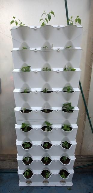 Minigarden