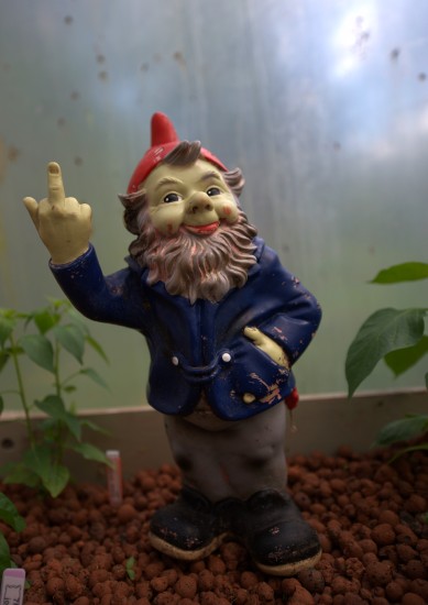 Greenhouse gnome