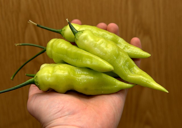 Aji Cristals