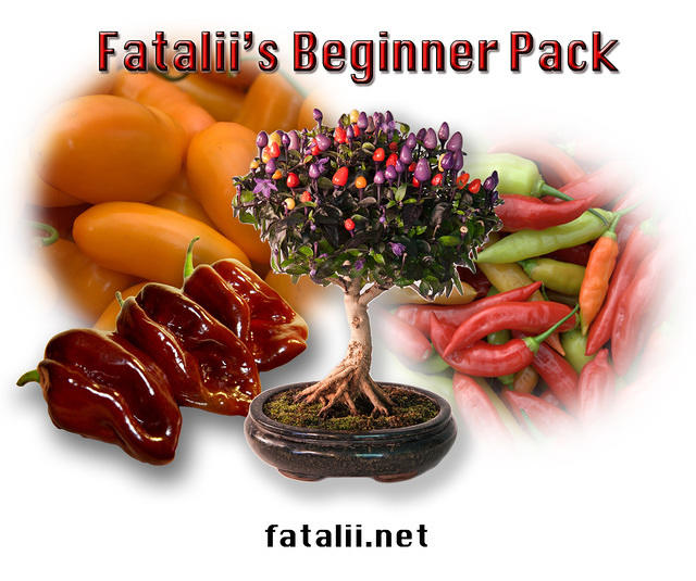 Fataliis Beginner Pack