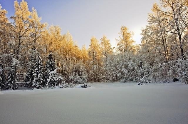 Finnish winter