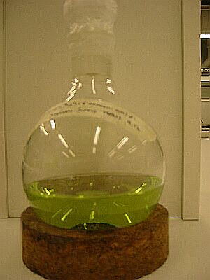 Fresh extract