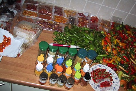 Drying Peppers