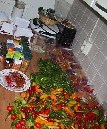 Drying Peppers