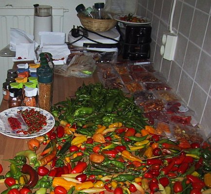 Drying Peppers