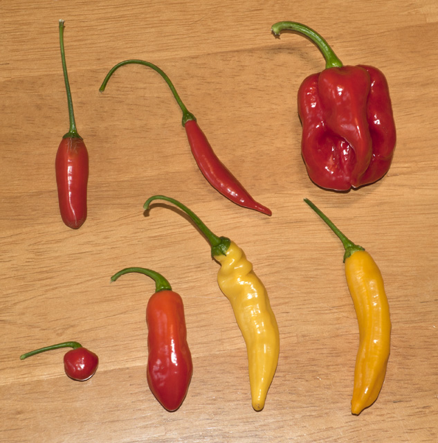 Misc. pods