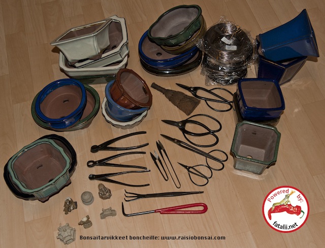 Bonsai pots and tools
