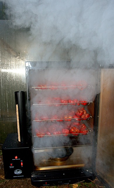 Bradley Smoker!