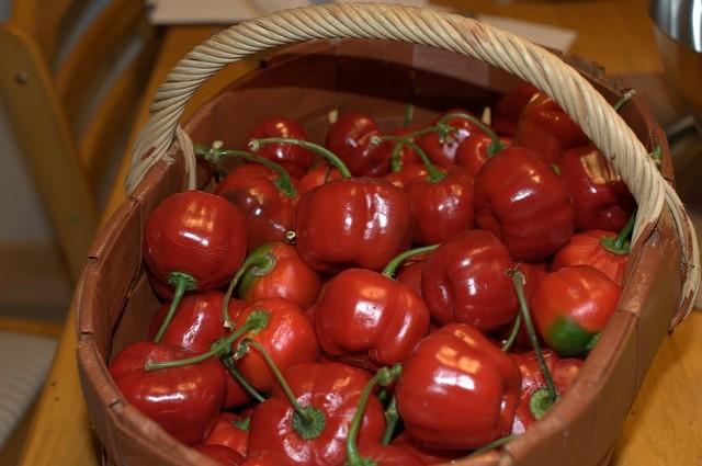 Rocoto, Red Peruvian