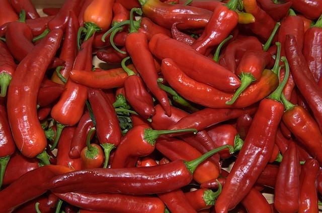 Ramiro x Naga Morich