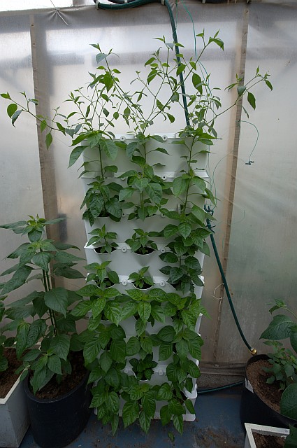 Minigarden