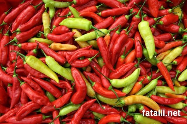 Aji Cristals
