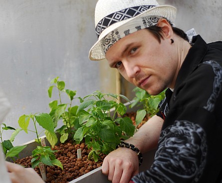 Seedlings