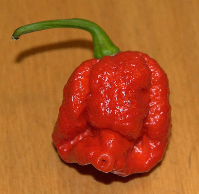 Trinidad Scorpion, Morouga Blend