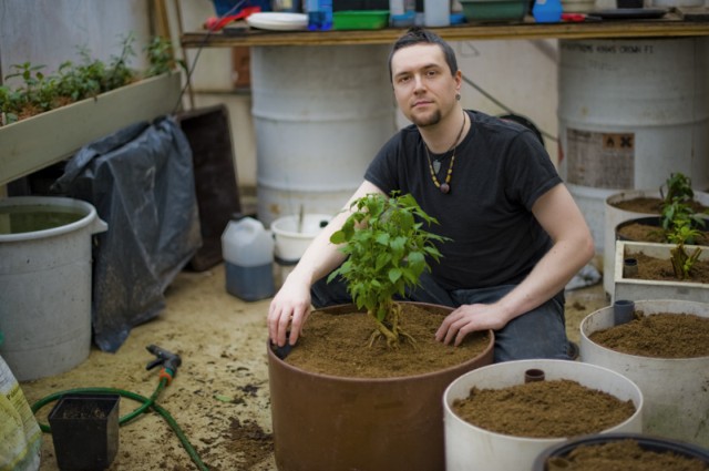 Planting