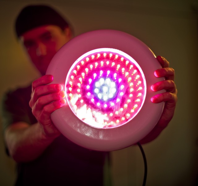 Psychotic LED 2
