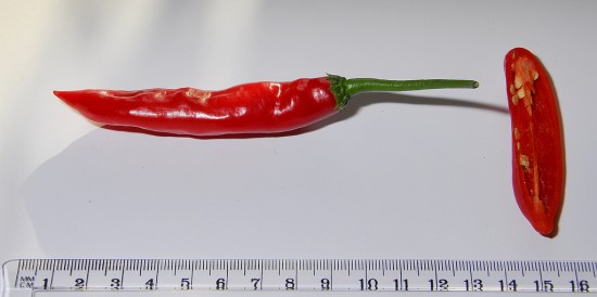 Tabajos