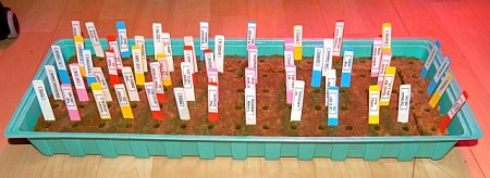 Germinating