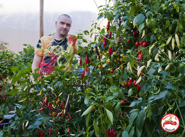 Greenhouse