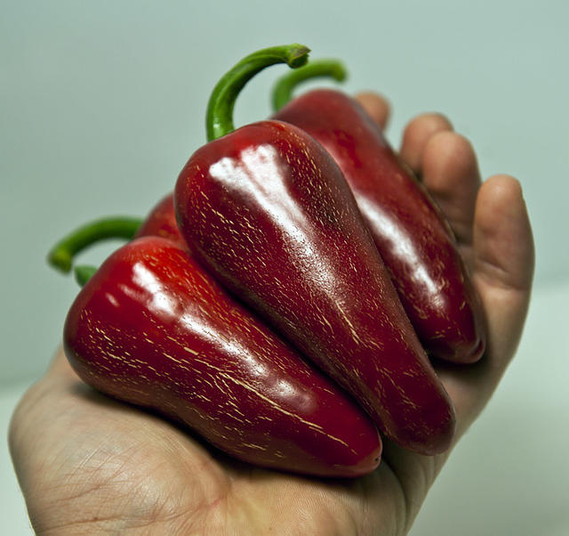 C. annuum var. 'Jalastar'