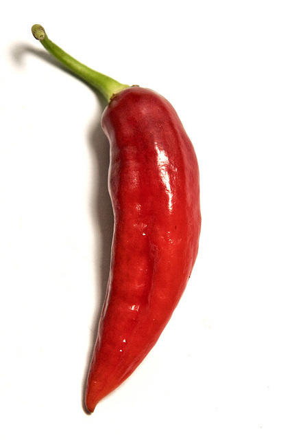 C. chinense var. 'Clavo, Red'