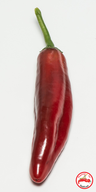 C. annuum var. 'Jalapeno, Mild'