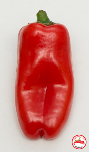 C. annuum var. 'Minipaprika Red'